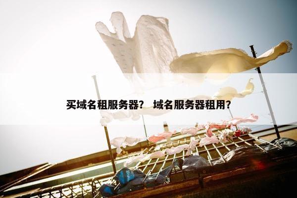 买域名租服务器？ 域名服务器租用？