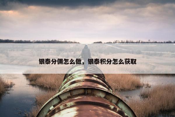 银泰分佣怎么做，银泰积分怎么获取