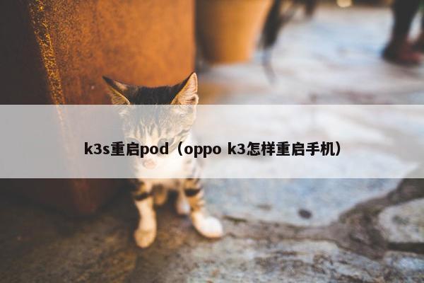 k3s重启pod（oppo k3怎样重启手机）