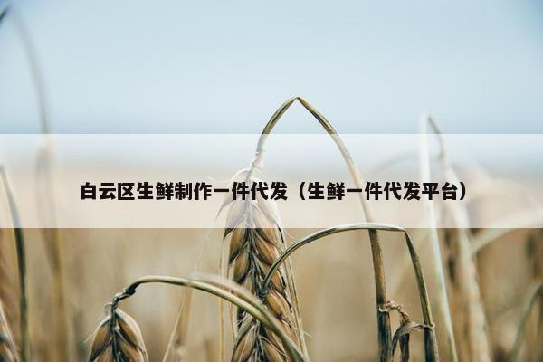 白云区生鲜制作一件代发（生鲜一件代发平台）