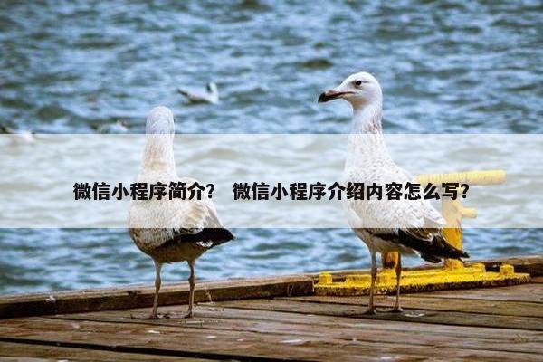 微信小程序简介？ 微信小程序介绍内容怎么写？