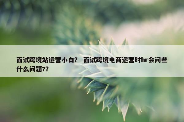 面试跨境站运营小白？ 面试跨境电商运营时hr会问些什么问题?？