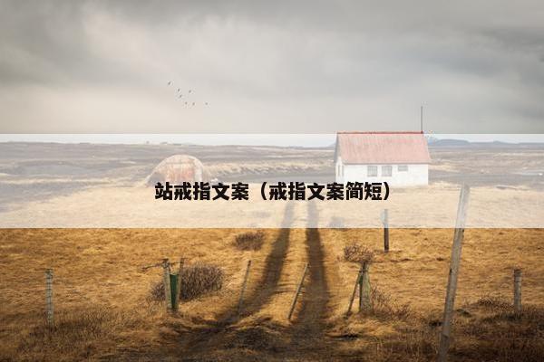 站戒指文案（戒指文案简短）