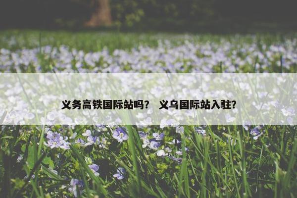 义务高铁国际站吗？ 义乌国际站入驻？