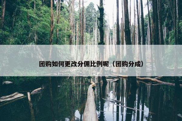 团购如何更改分佣比例呢（团购分成）
