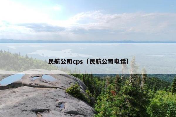 民航公司cps（民航公司电话）