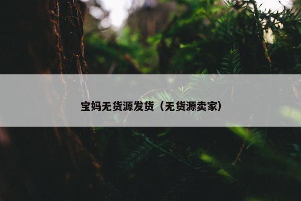 宝妈无货源发货（无货源卖家）