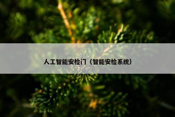人工智能安检门（智能安检系统）