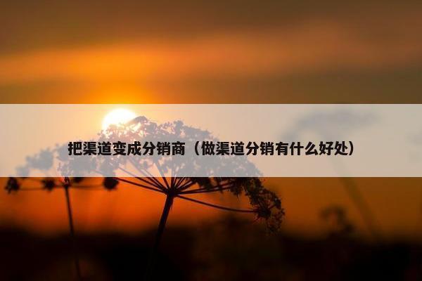 把渠道变成分销商（做渠道分销有什么好处）