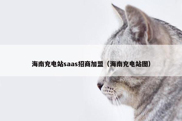 海南充电站saas招商加盟（海南充电站图）