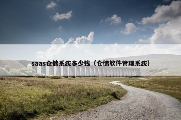 saas仓储系统多少钱（仓储软件管理系统）