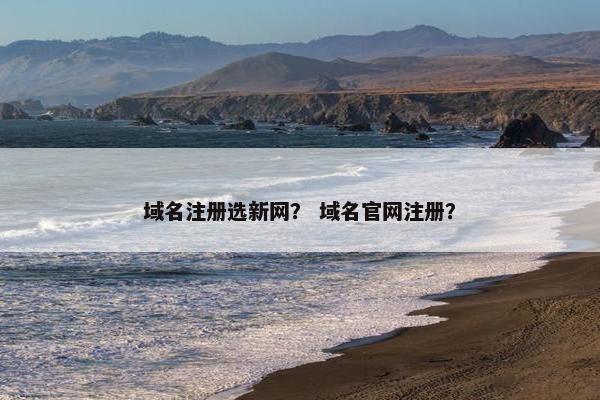 域名注册选新网？ 域名官网注册？