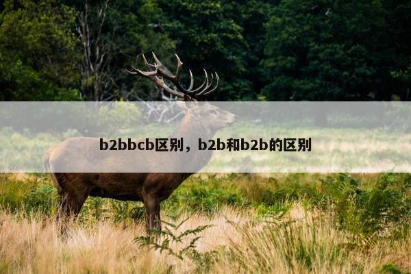 b2bbcb区别，b2b和b2b的区别