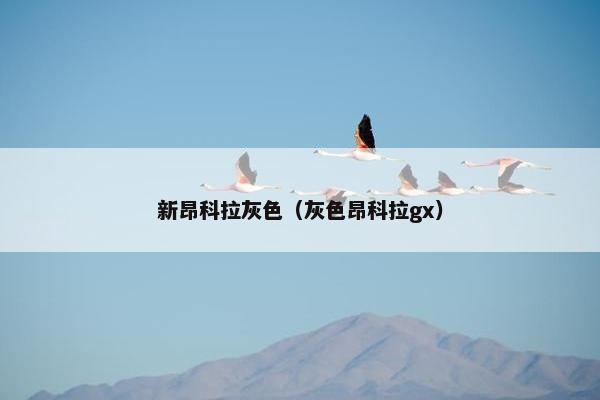 新昂科拉灰色（灰色昂科拉gx）