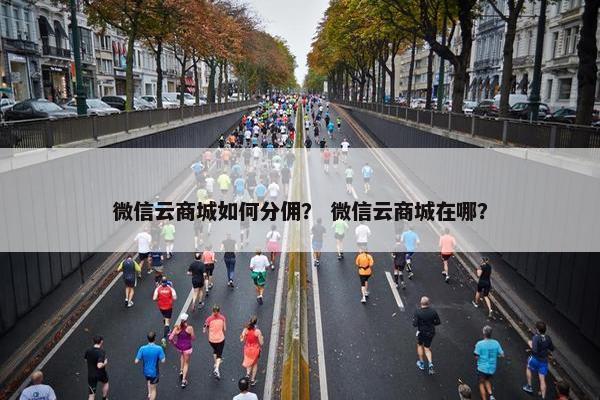 微信云商城如何分佣？ 微信云商城在哪？