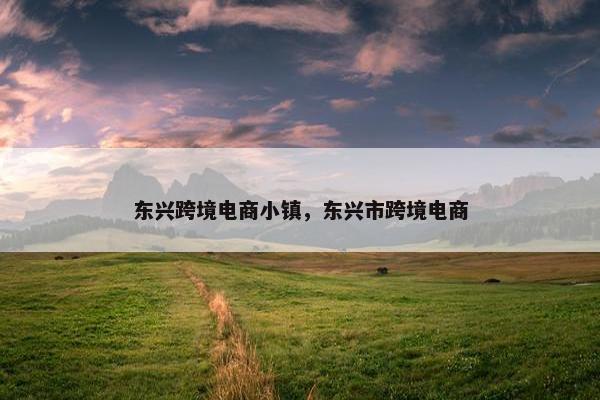 东兴跨境电商小镇，东兴市跨境电商