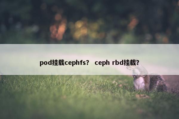 pod挂载cephfs？ ceph rbd挂载？