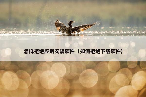 怎样拒绝应用安装软件（如何拒绝下载软件）