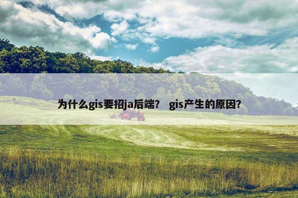 为什么gis要招ja后端？ gis产生的原因？