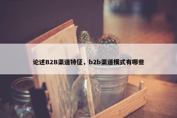 论述B2B渠道特征，b2b渠道模式有哪些