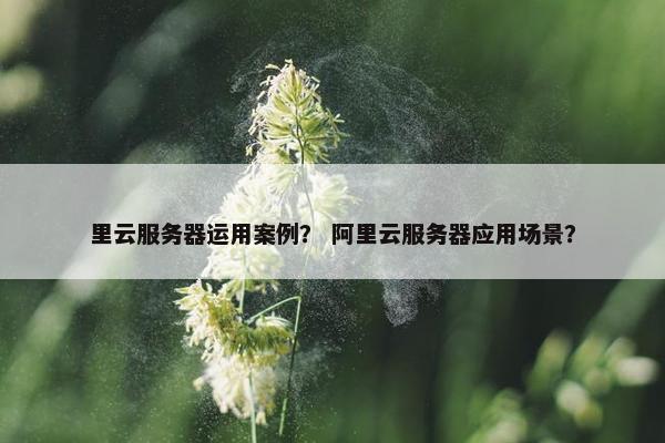 里云服务器运用案例？ 阿里云服务器应用场景？