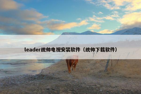 leader统帅电视安装软件（统帅下载软件）