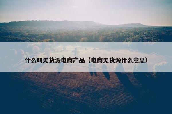 什么叫无货源电商产品（电商无货源什么意思）