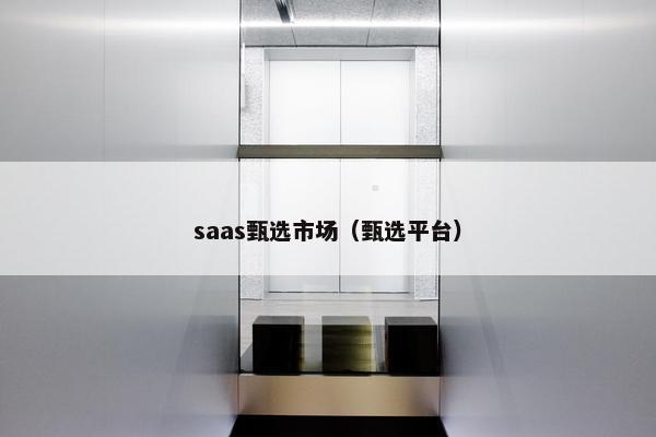 saas甄选市场（甄选平台）