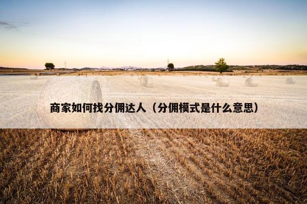 商家如何找分佣达人（分佣模式是什么意思）