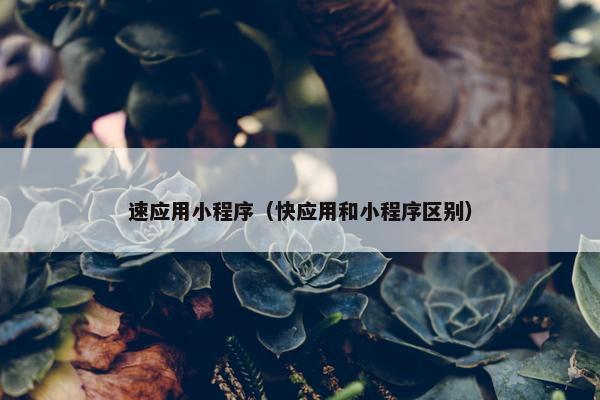 速应用小程序（快应用和小程序区别）