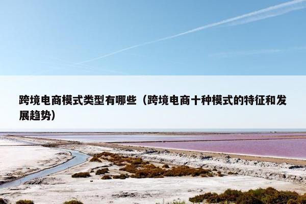 跨境电商模式类型有哪些（跨境电商十种模式的特征和发展趋势）