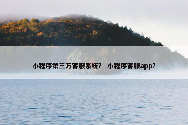 小程序第三方客服系统？ 小程序客服app？