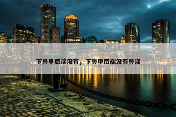 下鼻甲后端没有，下鼻甲后端没有鼻涕