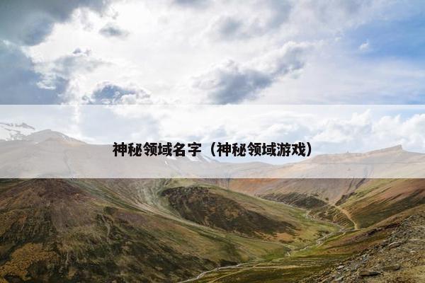 神秘领域名字（神秘领域游戏）