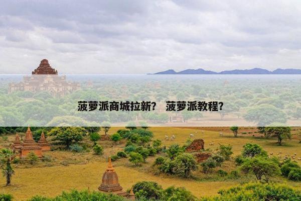 菠萝派商城拉新？ 菠萝派教程？