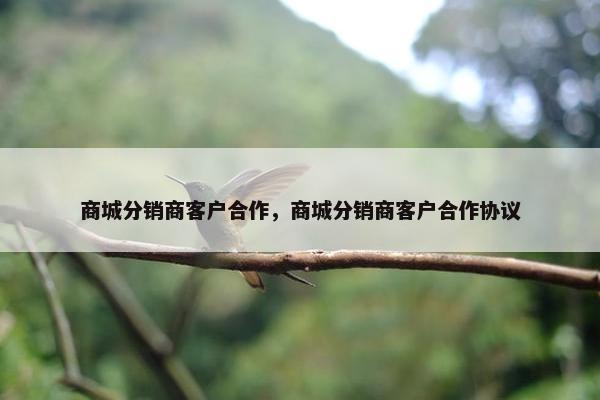 商城分销商客户合作，商城分销商客户合作协议