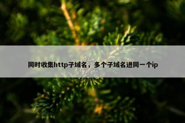同时收集http子域名，多个子域名进同一个ip