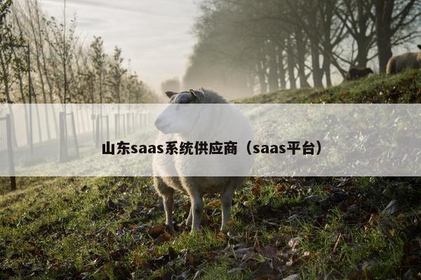 山东saas系统供应商（saas平台）