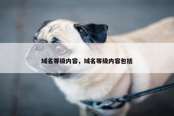 域名等级内容，域名等级内容包括