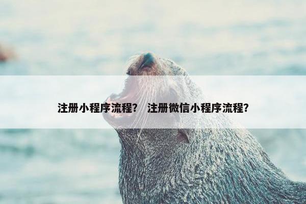 注册小程序流程？ 注册微信小程序流程？