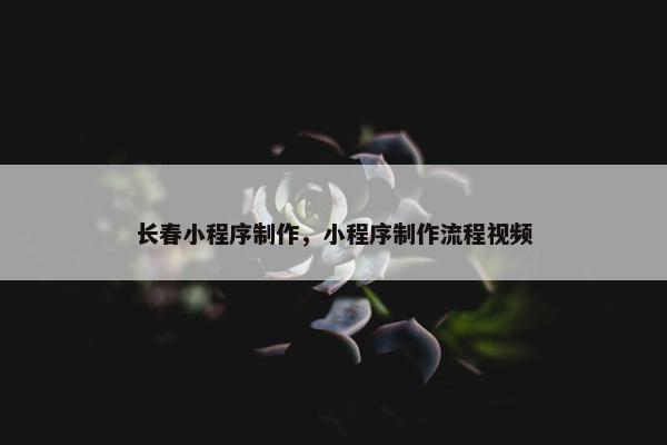 长春小程序制作，小程序制作流程视频