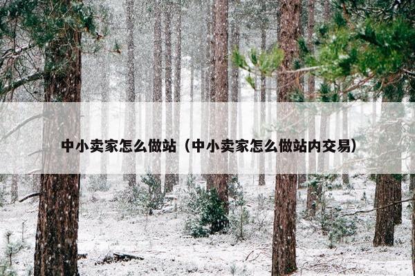 中小卖家怎么做站（中小卖家怎么做站内交易）