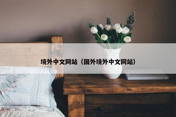 境外中文网站（国外境外中文网站）