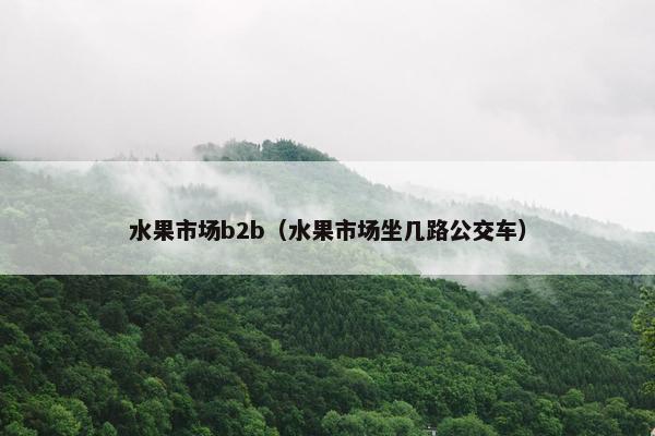 水果市场b2b（水果市场坐几路公交车）