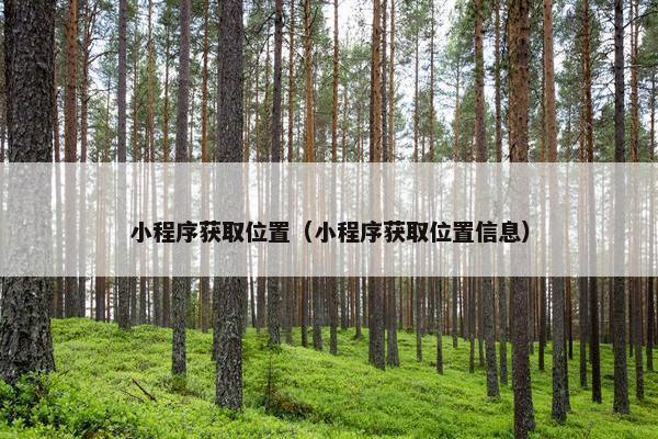 小程序获取位置（小程序获取位置信息）