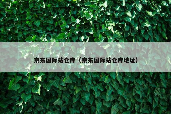 京东国际站仓库（京东国际站仓库地址）