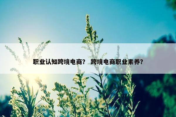 职业认知跨境电商？ 跨境电商职业素养？