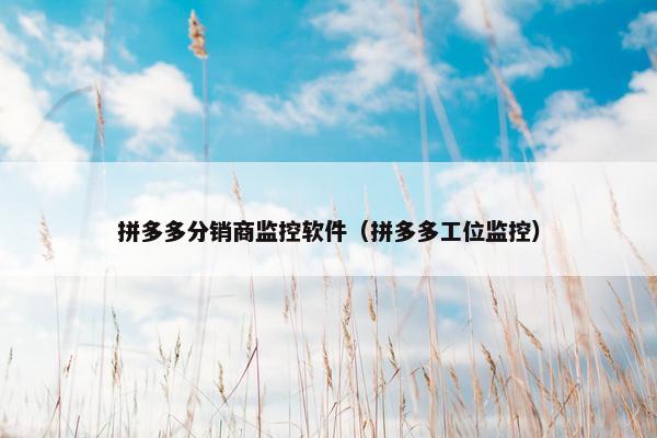 拼多多分销商监控软件（拼多多工位监控）