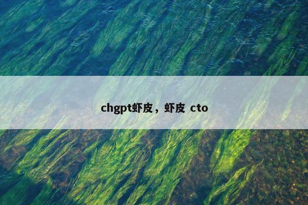 chgpt虾皮，虾皮 cto