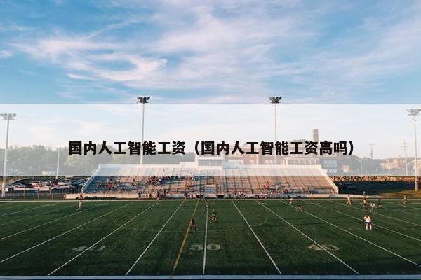 国内人工智能工资（国内人工智能工资高吗）